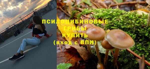 ешки Балахна
