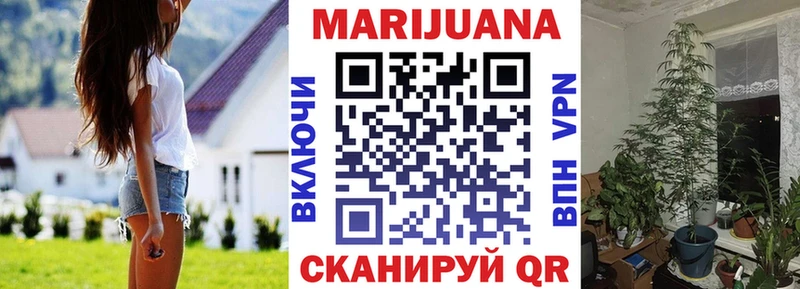 МАРИХУАНА сатива  Сольвычегодск 